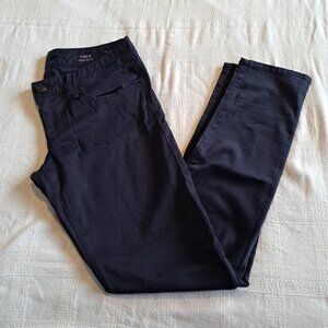 Lilly Pulitzer Worth women's skinny size 6 blue pants vvguc